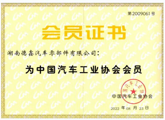  Institute Certificate